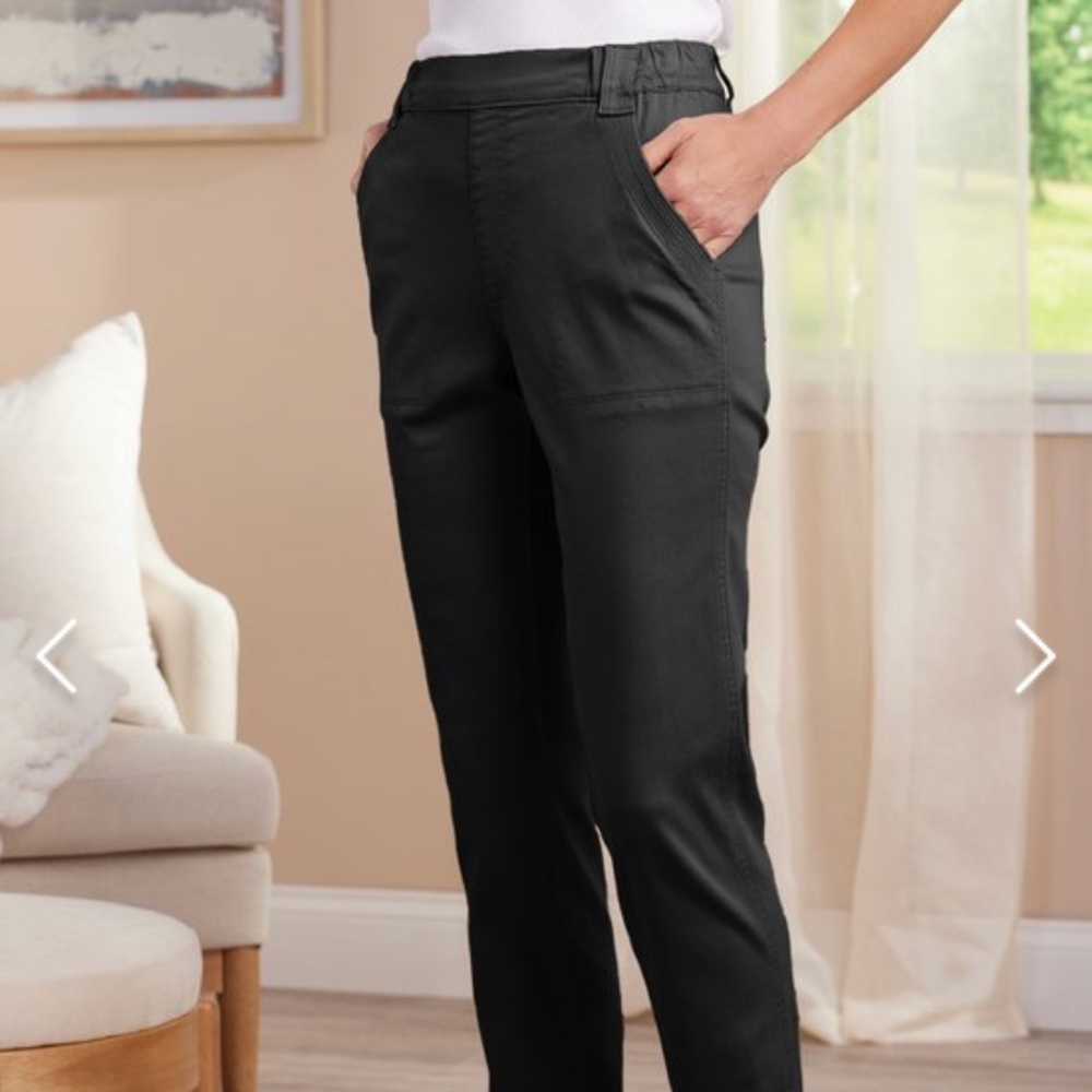 SOFT SURROUNDINGS STRAIGHT LEG FULL LENGTH HARLEY PANTS 14/16 black pants